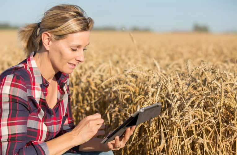 Bayer inicia programa inédito de capacitação focado em agricultura digital