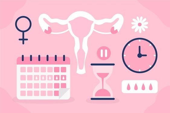 Modulação hormonal: prática ortomolecular pode amenizar menopausa