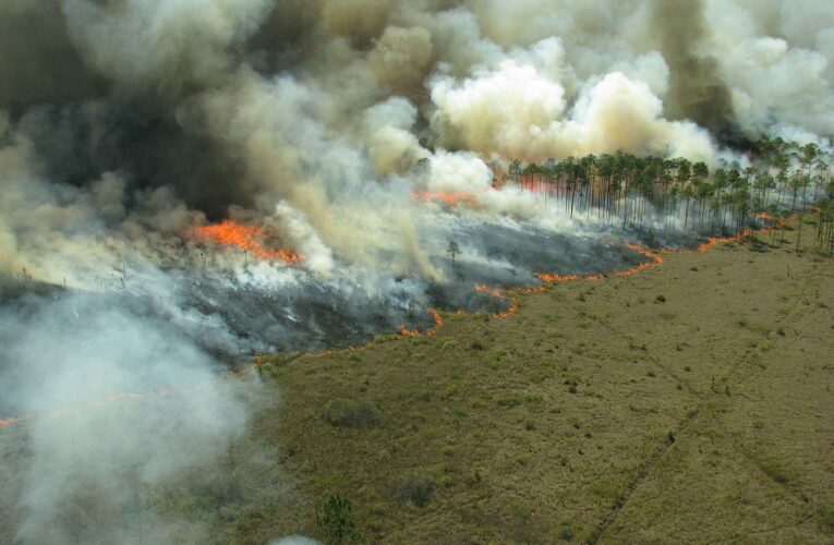 Zeladoria do Planeta faz campanha contra incêndios florestais em Minas Gerais
