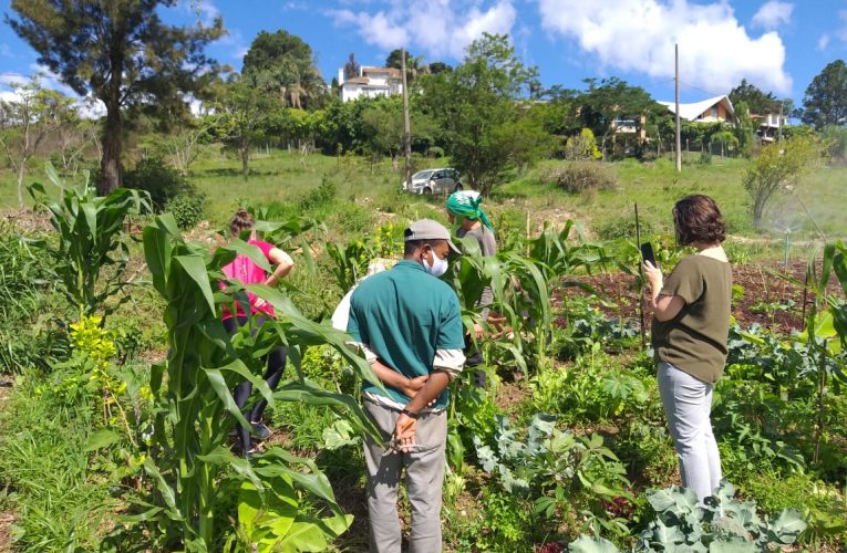 Famílias participam de projeto de agrofloresta em Brumadinho