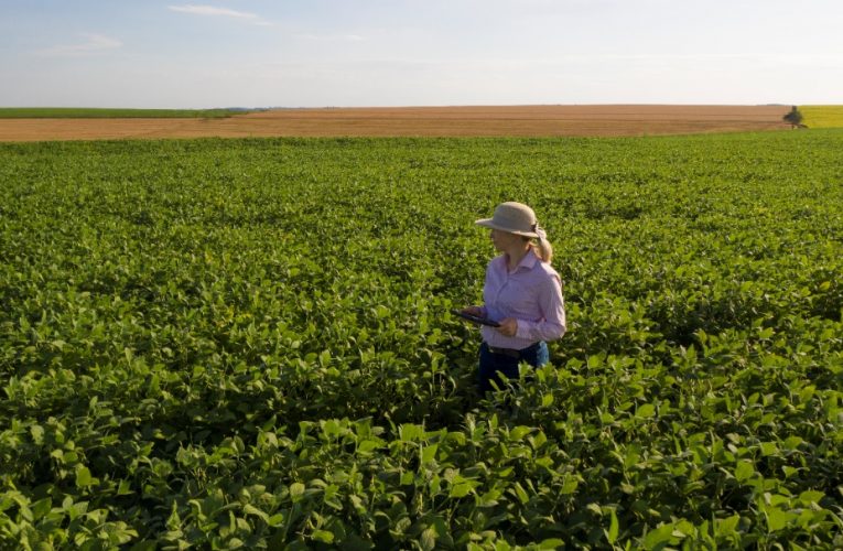 Bayer e Abag anunciam abertura das inscrições para o
Prêmio Mulheres do Agro 2021