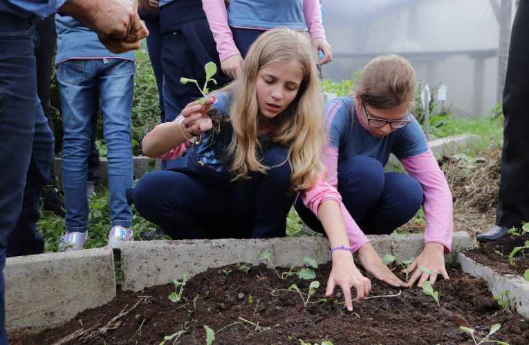 Sustentabilidade: por que o tema é pauta dentro das organizações?