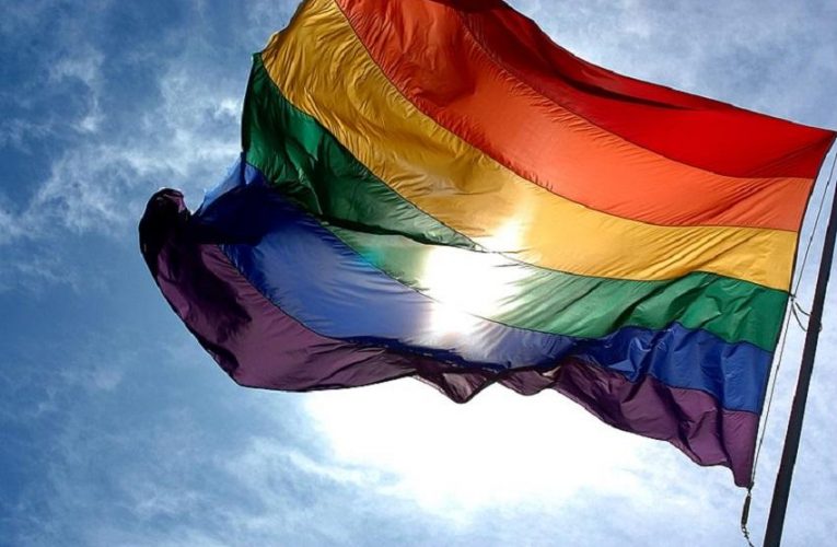 Defensora pública do DF destaca conquistas da comunidade LGBTQIA+