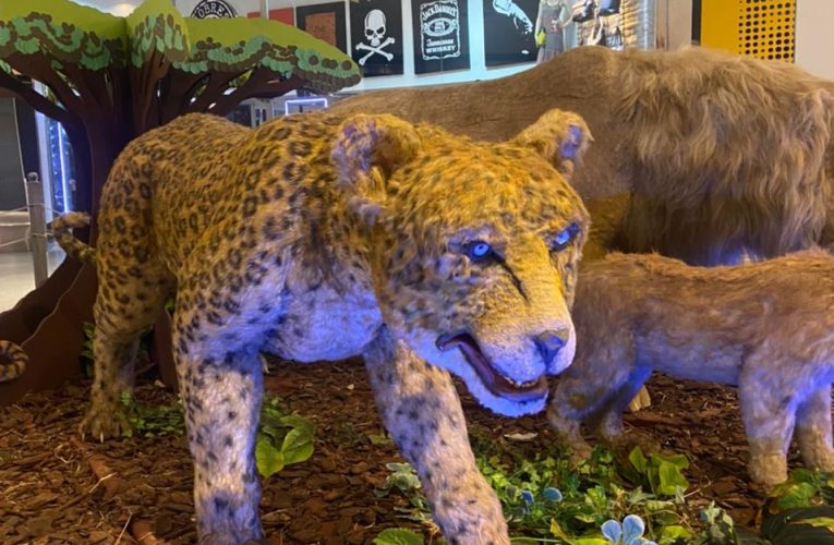 Réplicas de animais selvagens estão em exposição em Belo Horizonte