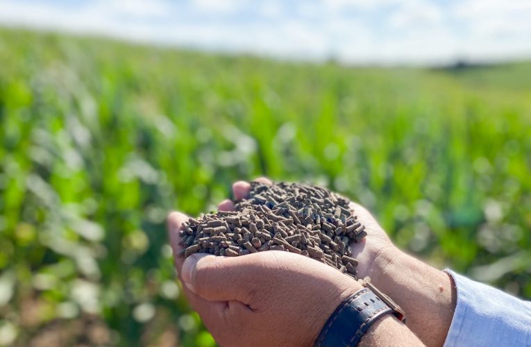 Estudos demonstram efetividade de fertilizante que reduz perdas por falta de chuva