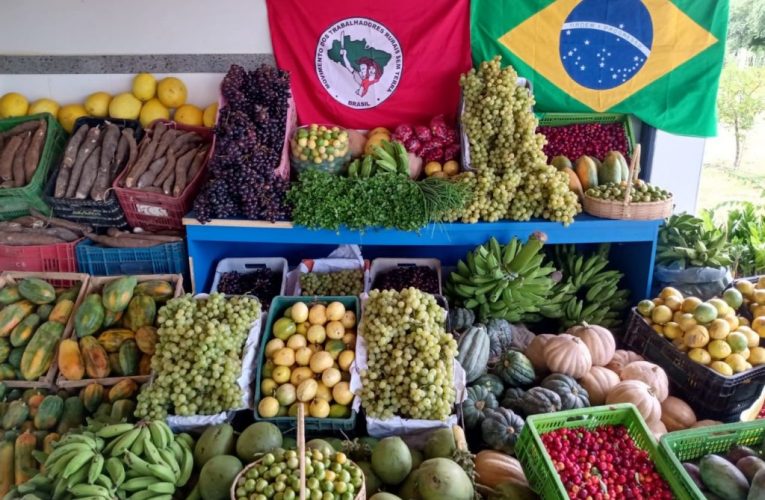 Semana da Agricultura Familiar em Minas lança cartilha com dados do setor