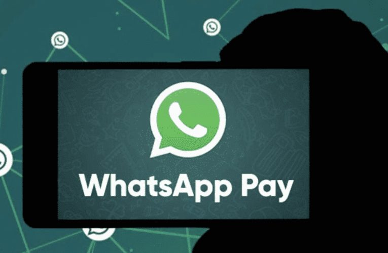 Pesquisa diz que 78% dos consumidores brasileiros ainda relutam em utilizar WhatsApp Pay