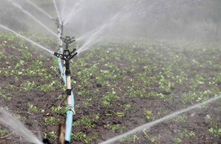 Projeto de irrigação em Minas Gerais prevê gerar 15 mil empregos