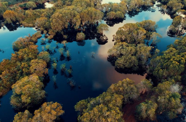 Motivos para viajar para o Mato Grosso do Sul