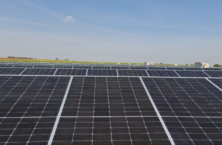 Painéis solares podem contribuir com a redução de CO2?