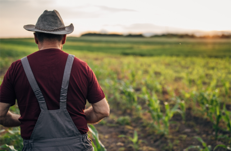 Legislação avança e permite recuperação judicial para produtor rural