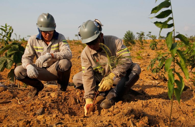 Mineração anunciará avanços nas práticas ESG no Brasil