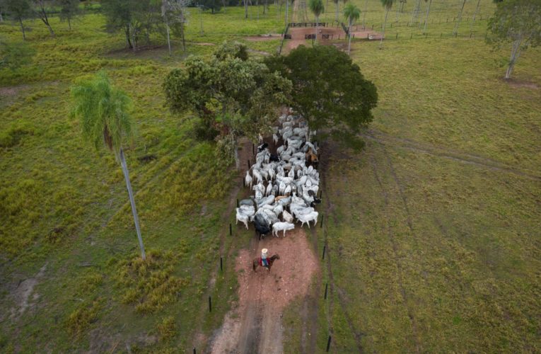 Reedição de novela chama a atenção para a cultura pantaneira