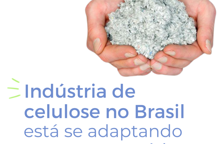 Produção de papel tissue tornou-se setor importante da economia brasileira