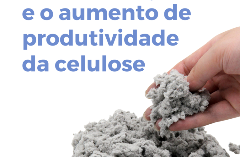 Mercado de celulose busca aumento de produtividade