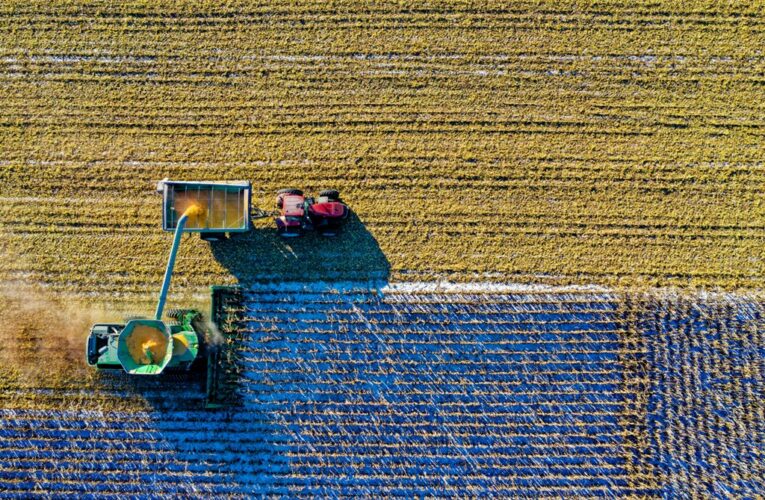 Crescimento no agronegócio impulsiona vendas de consórcios agrícolas