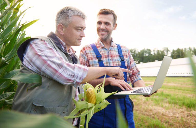 Business Intelligence abre possibilidades no agronegócio