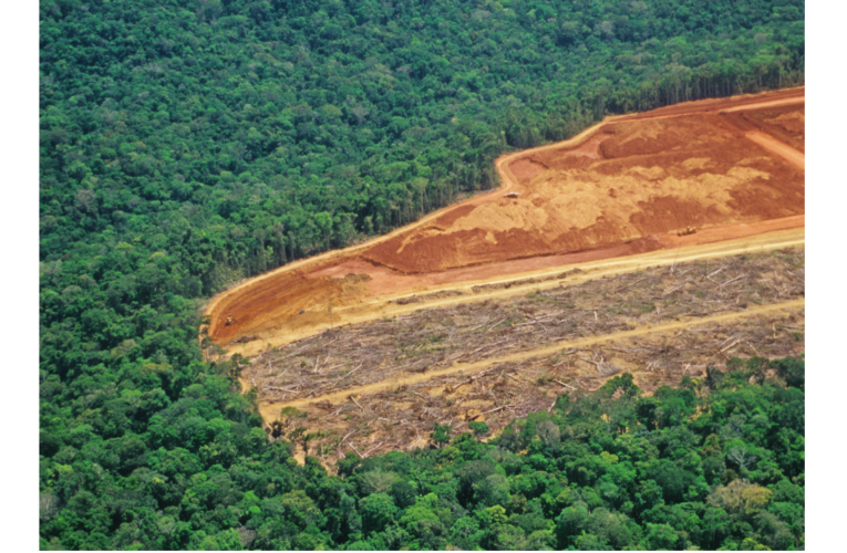 Alemanha e Noruega voltam a estabelecer compromisso com a Amazônia