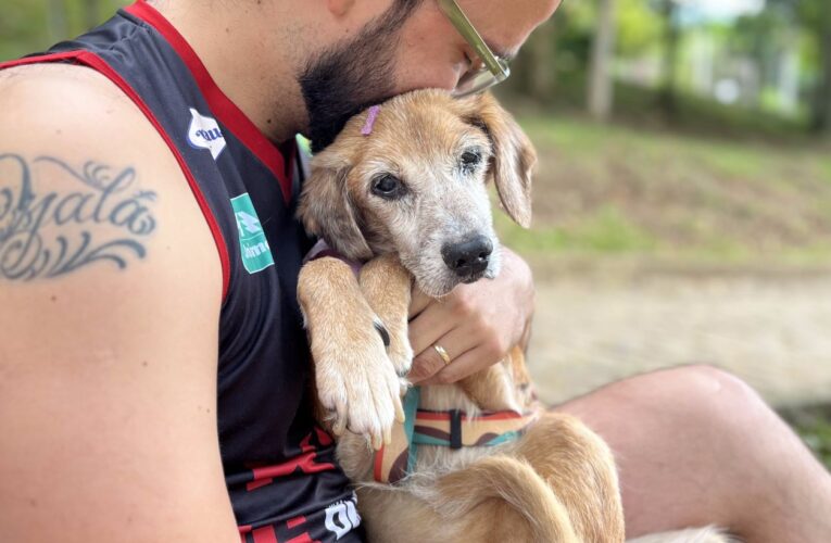 Como as doenças neurodegenerativas afetam os animais?