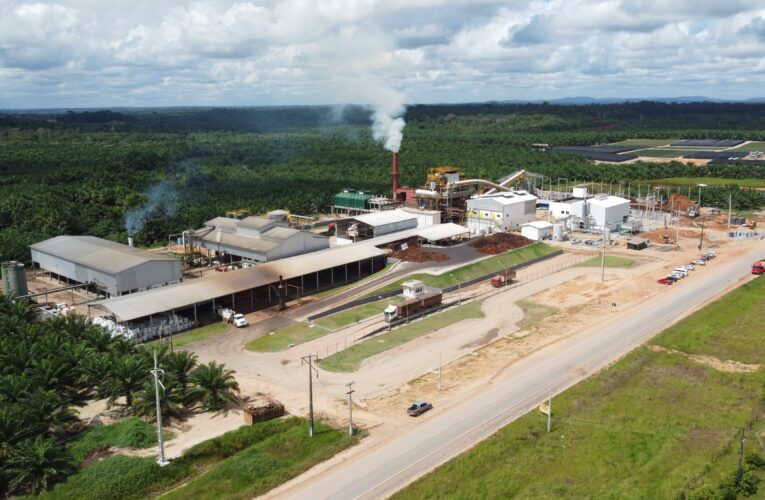 Grupo BBF completa 15 anos com foco em sustentabilidade