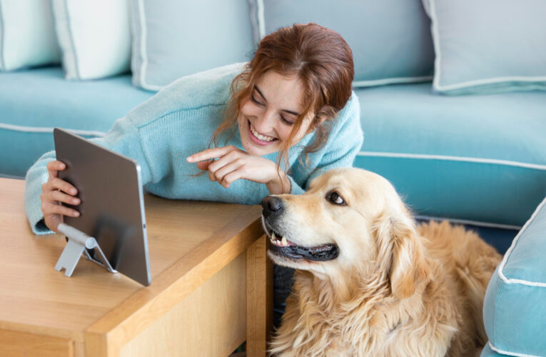 Pet Tech investe em rede social, premiação e associação