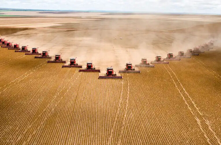 Gigantes do agro têm recuperações judiciais deferidas em MT