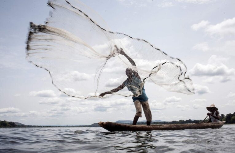 Grupo Mazzaferro cria ações voltadas para a sustentabilidade