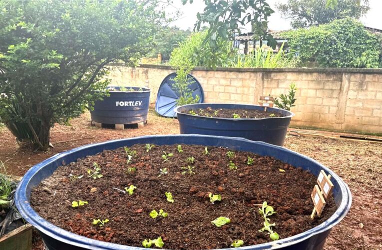 Projeto de hortas ecológicas fortalece sustentabilidade e alimentação saudável em Itabirito
